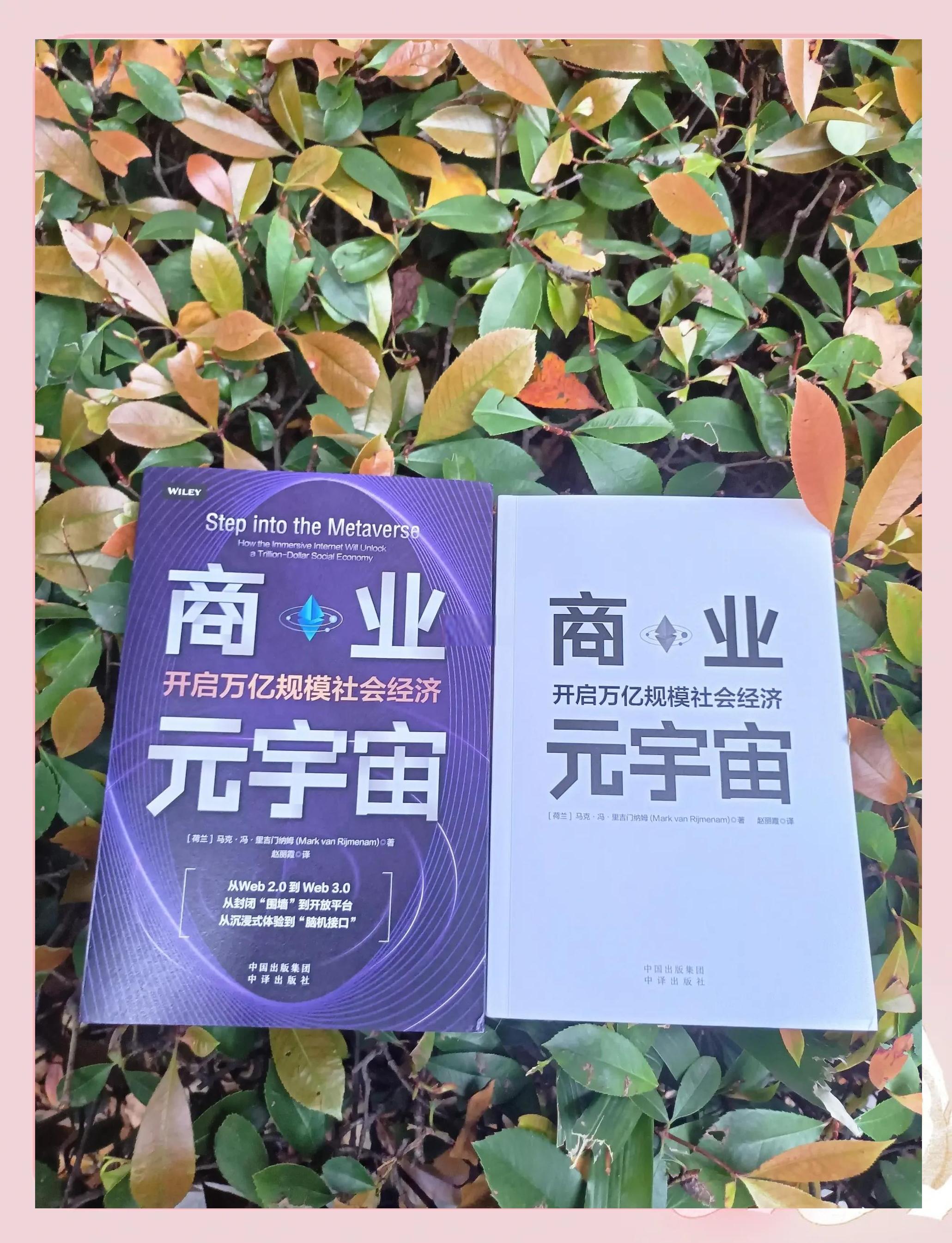 关于元宇宙与区块链投资者看好潜力，行业发展引发关注。的信息-九游官网