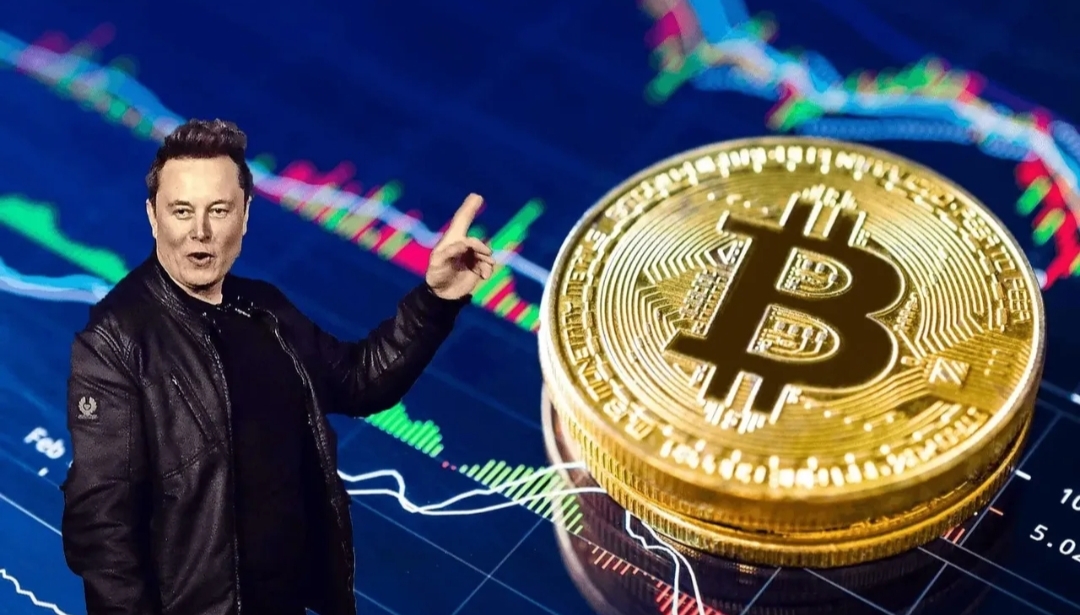 马斯克再次发推，比特币瞬间上上扬AVAX%-九游娱乐APP