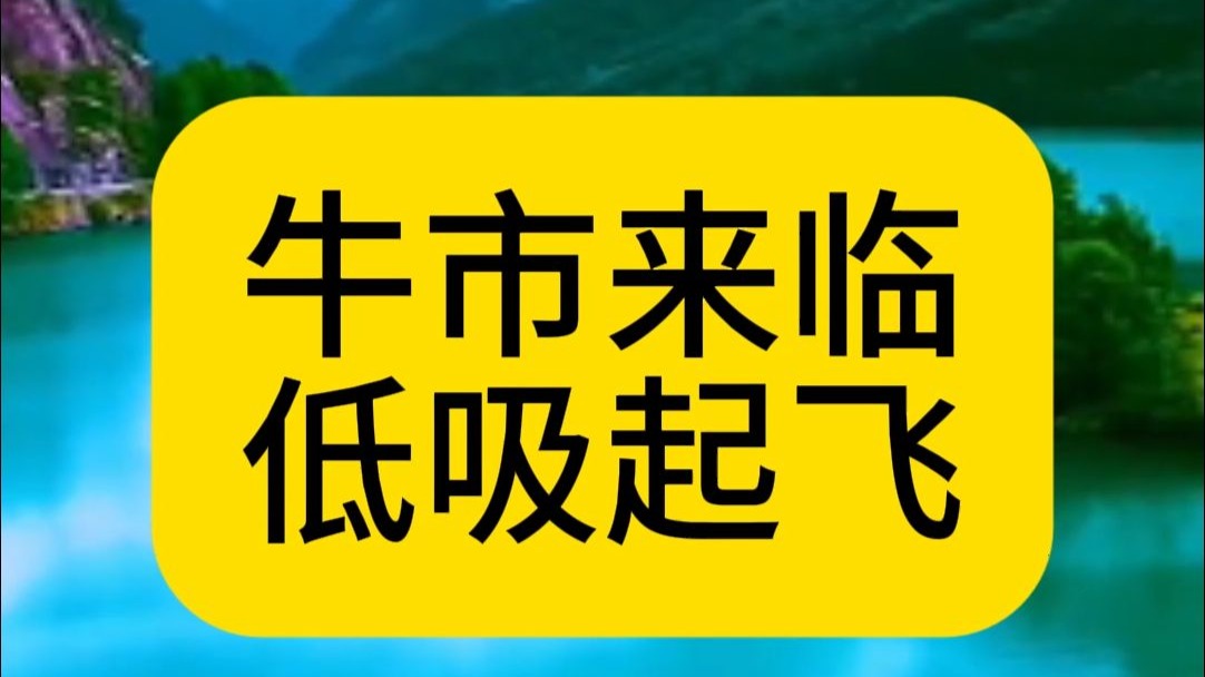 SHIB冲破253美元大关，牛市是否已来临？的简单介绍