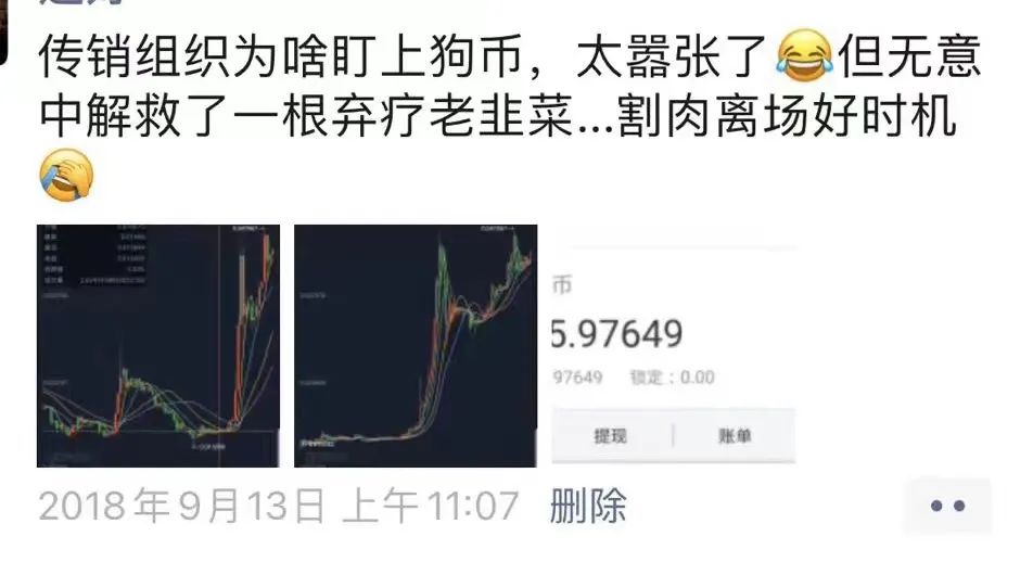 LDO投资骗局被揭发，已有超狗狗币人被骗！